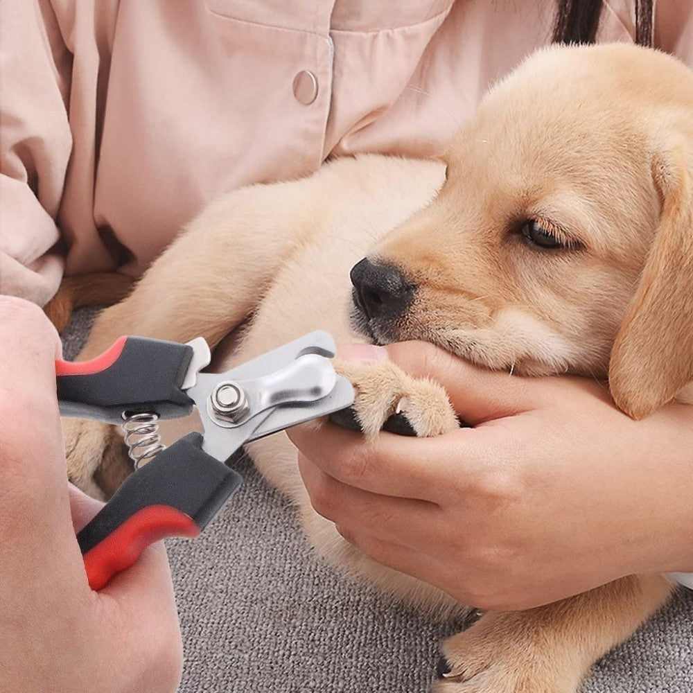 Grooming Tools